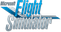Microsoft Flight Simulator down