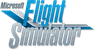Microsoft Flight Simulator down