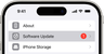 Apple Software Update panne